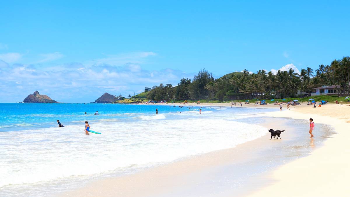 sandy beach in oahu hawaii